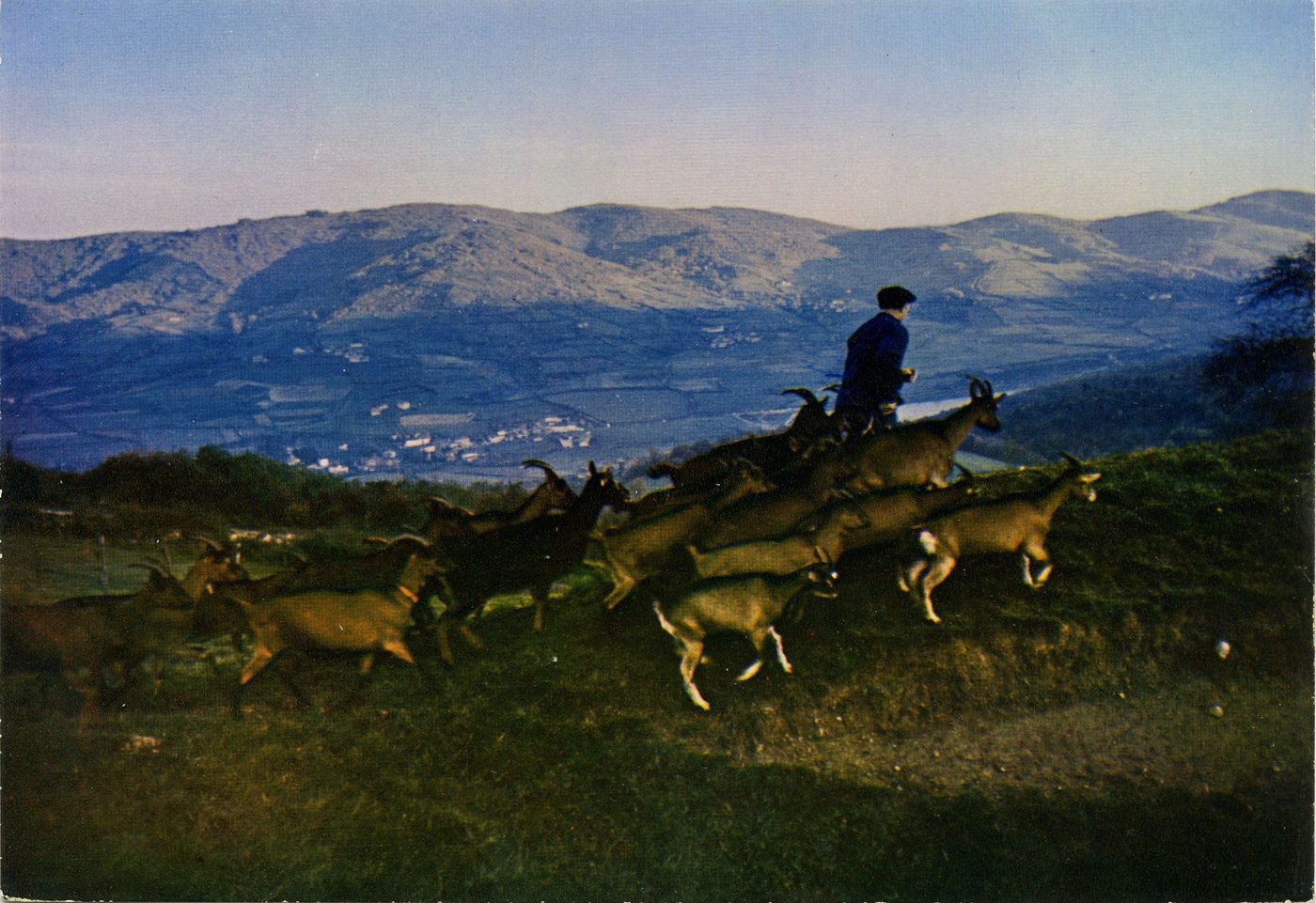 Environs de Tramayes.