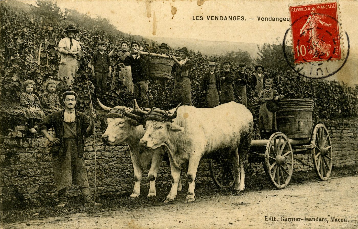 Les vendanges. Vendangeurs.
