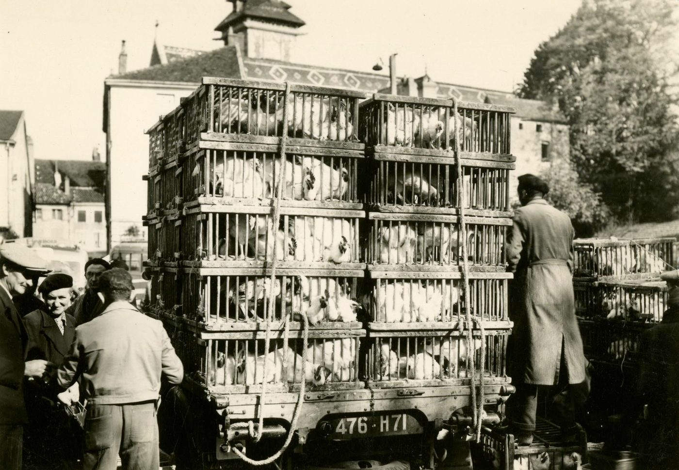 183. Louhans (Saône-et-Loire).- Marché aux poulets, place de la Poste.