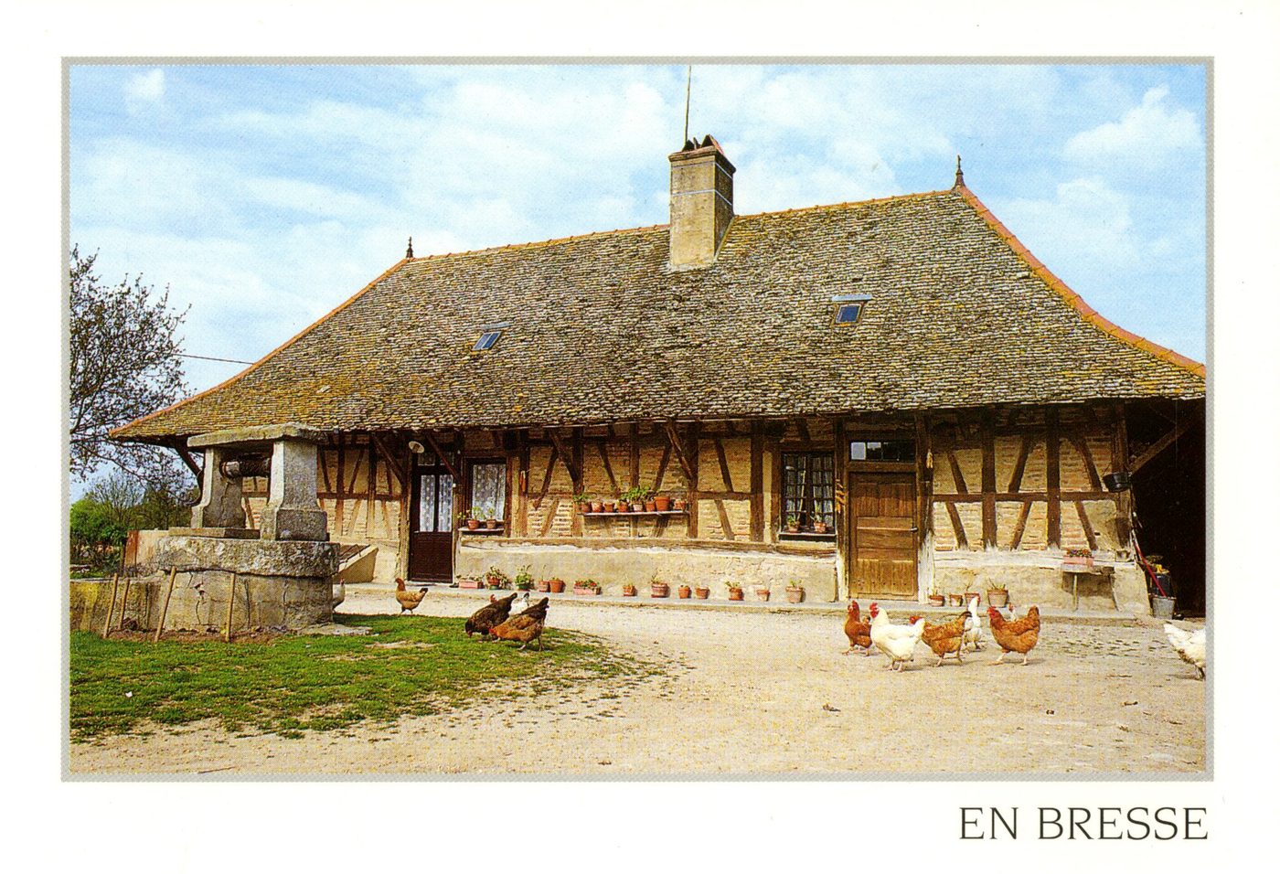 En Bresse.- Ferme bressane.