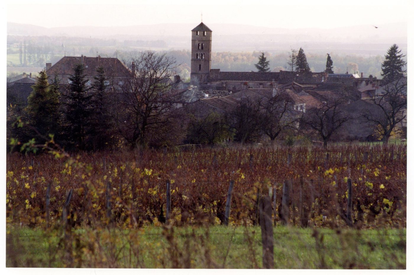 Uchizy (Saône-et-Loire).- Vue du village.