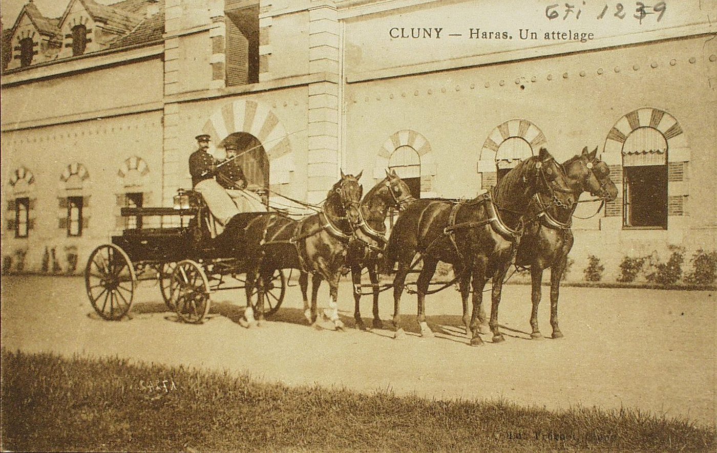 Cluny. Haras. Un attelage.
