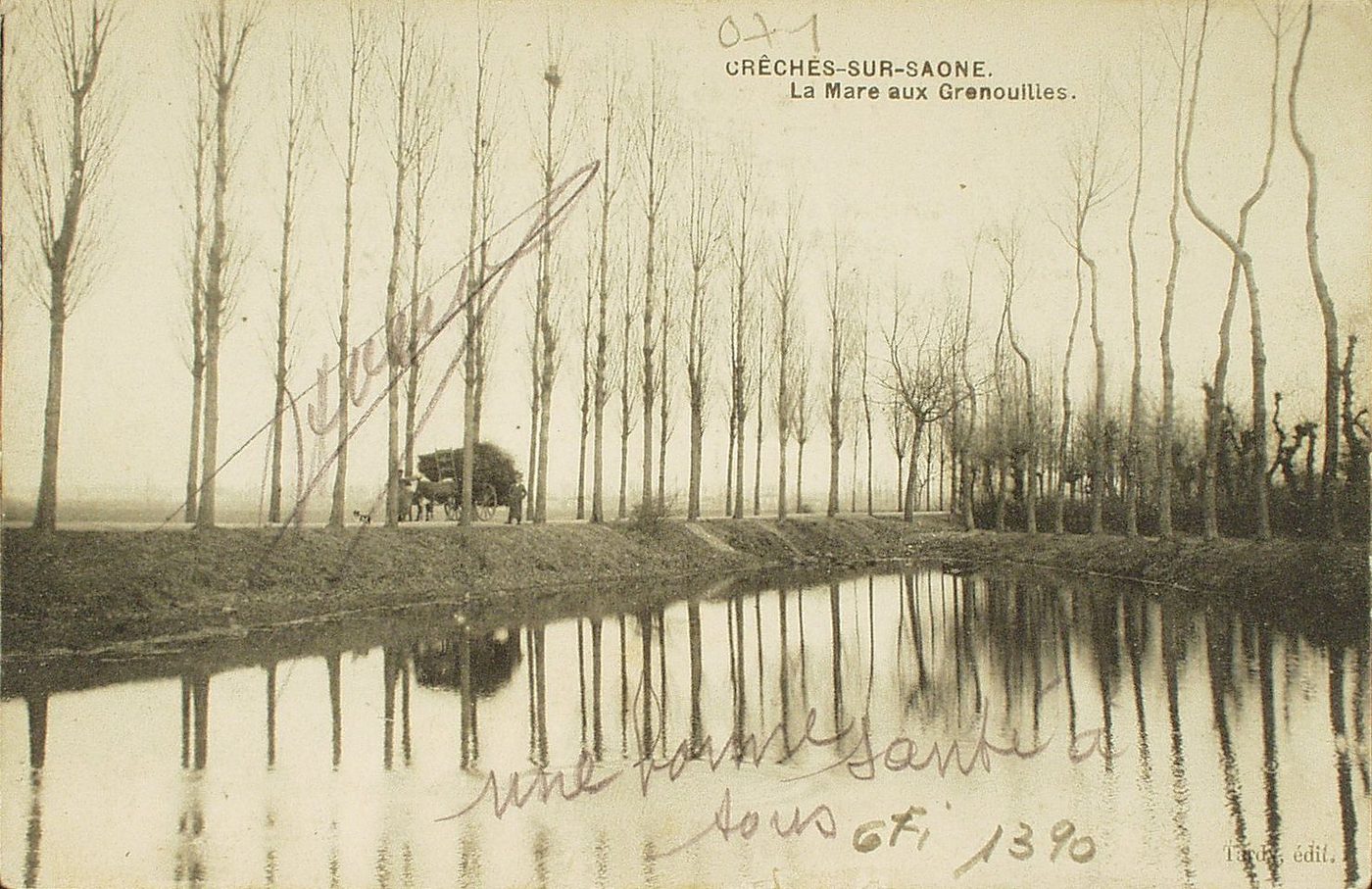 Crêches-sur-Saône. La mare aux grenouilles.