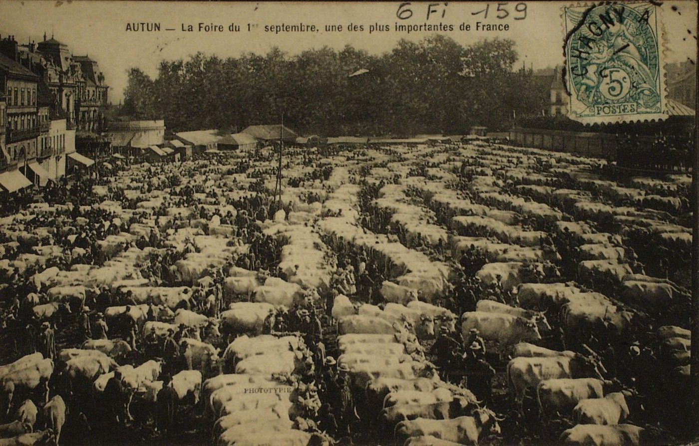 Autun. La foire du 1er septembre, une des plus importantes de France.