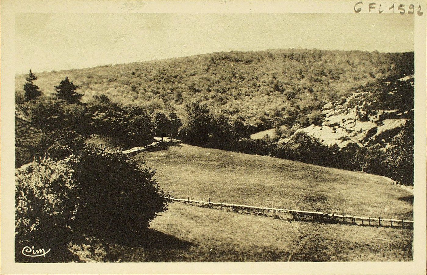 Cruzille. Forêts des buis et de la Combe.