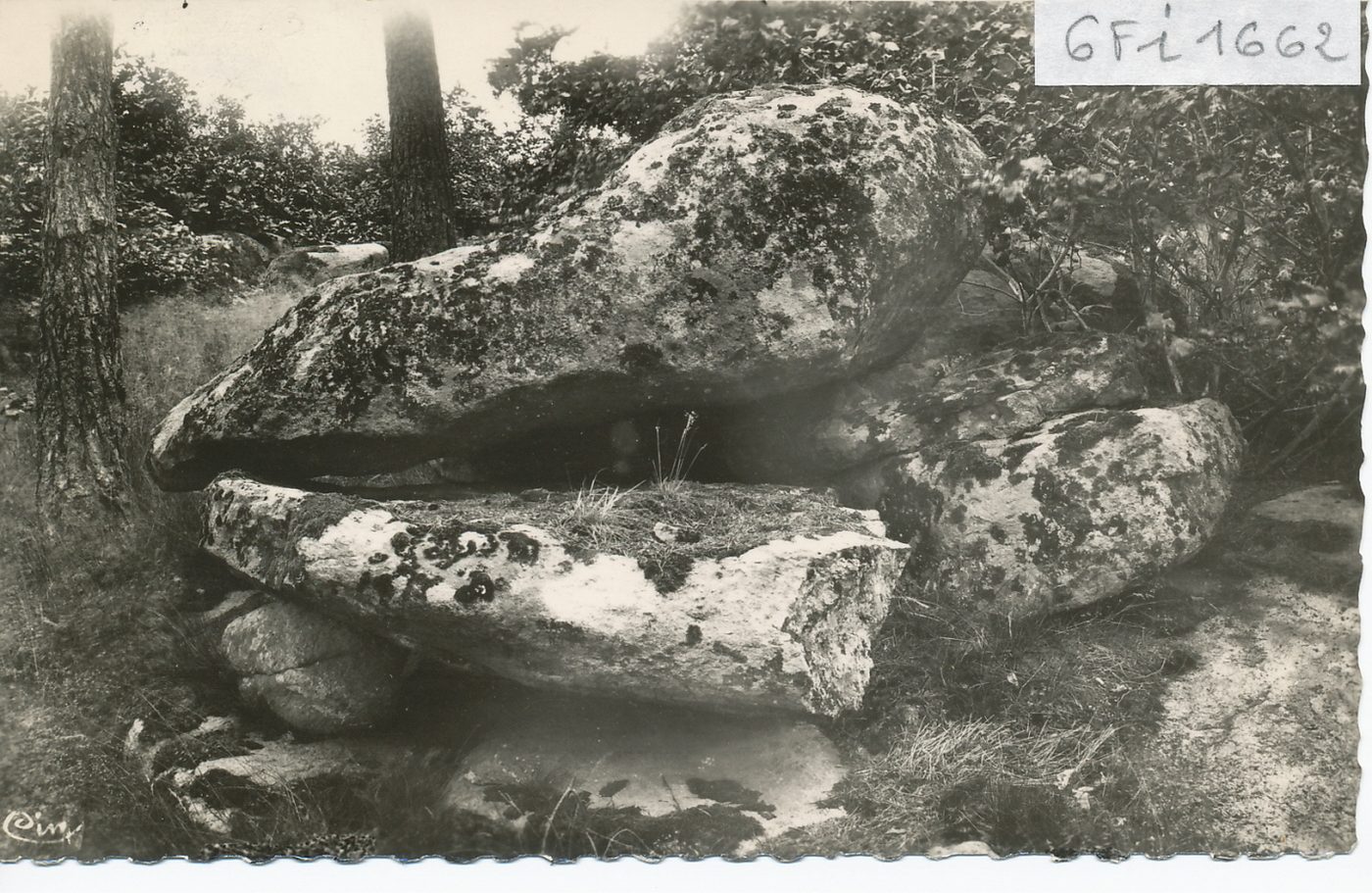 Montagnes d'Artus à Beaubery (monument druidique). La montagne est le lieu de rendez-vous des Blancs ; ils exercent leur religion le jour de la Fête-Dieu, boivent de l'eau purifiante à la petite fontaine se trouvant jusqu'au sommet ; ils honorent ces rochers druidiques, espacés d'environ 50 cm., sur lesquels se trouve une autre roche énorme. Pour le mariage de leur fille, les blancs font passer la fille entre ces deux rochers ; si elle ne peut pas passer, elle n'est point mariable.
