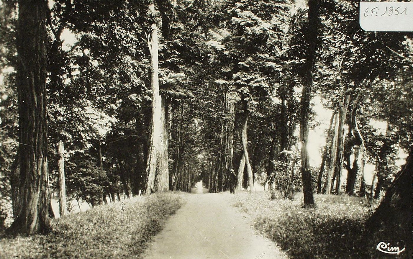 Génélard. Les promenades.