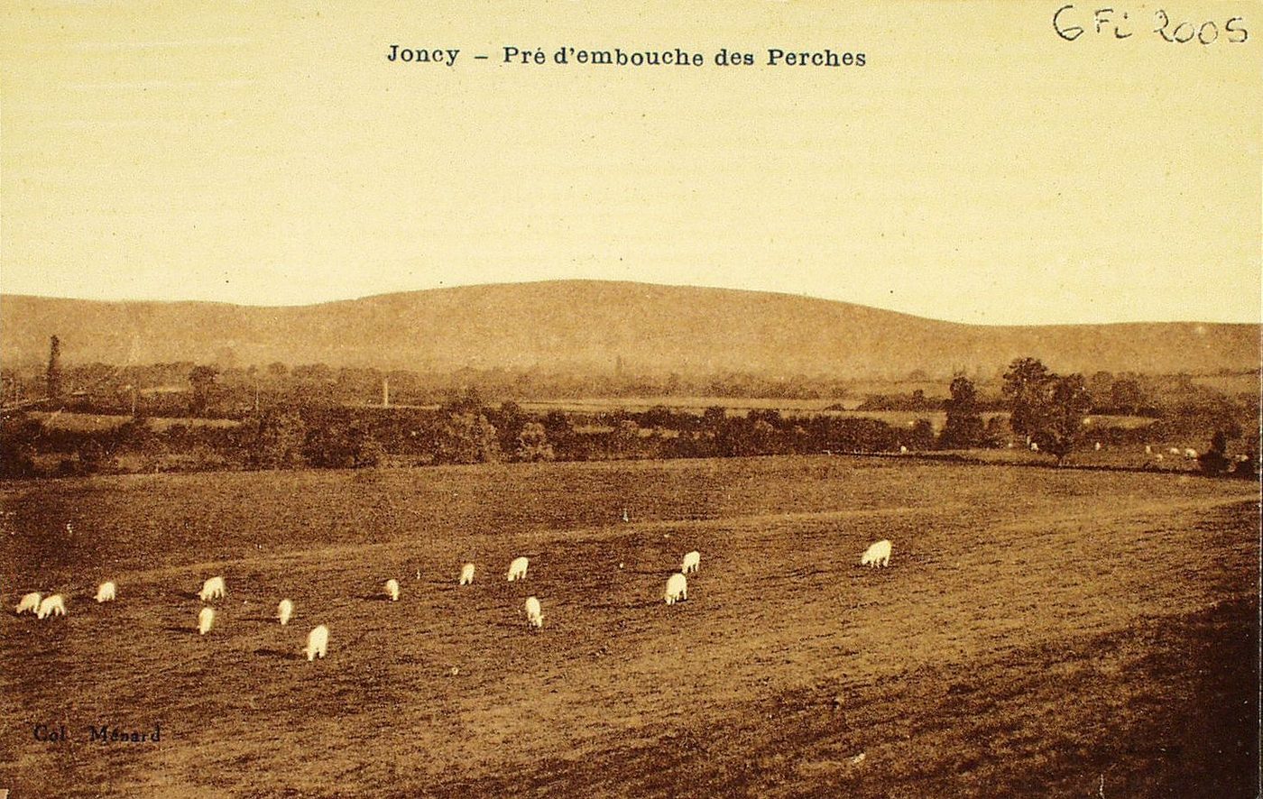 Joncy. Pré d'embouche des Perches.