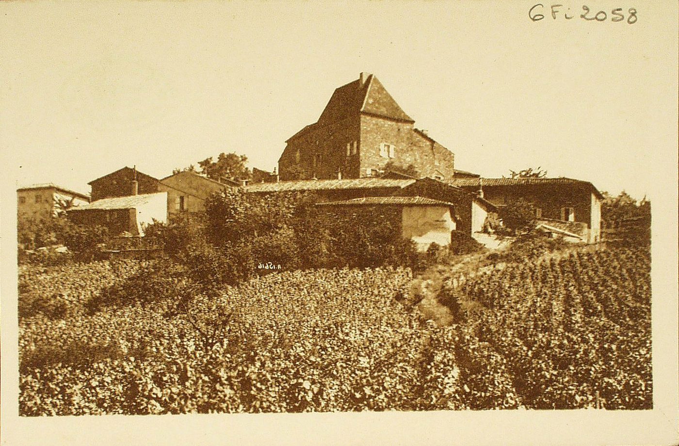 Leynes. En juin 1789, les habitants de Leynes assemblés au son du tocsin s'emparèrent de tous les "terriers" de la seigneurie. Le 18 février 1791 le château fut vendu avec son enclos, ses cuves, ses pressoirs.
