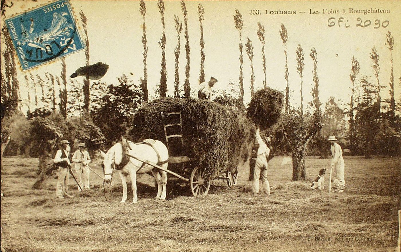 Louhans. Les foins à Bourgchâteau.
