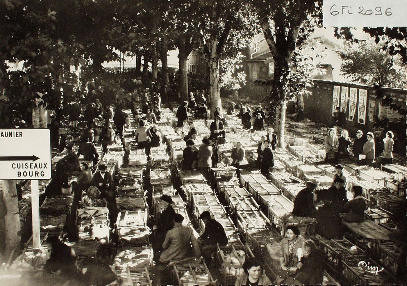 Louhans. Marché des poulets.