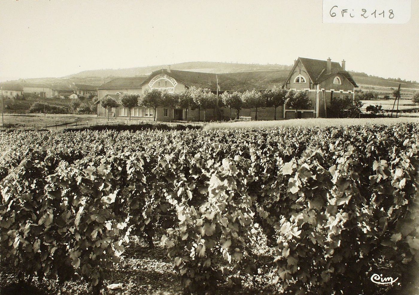 Lugny-lès-Mâcon. La cave coopérative.