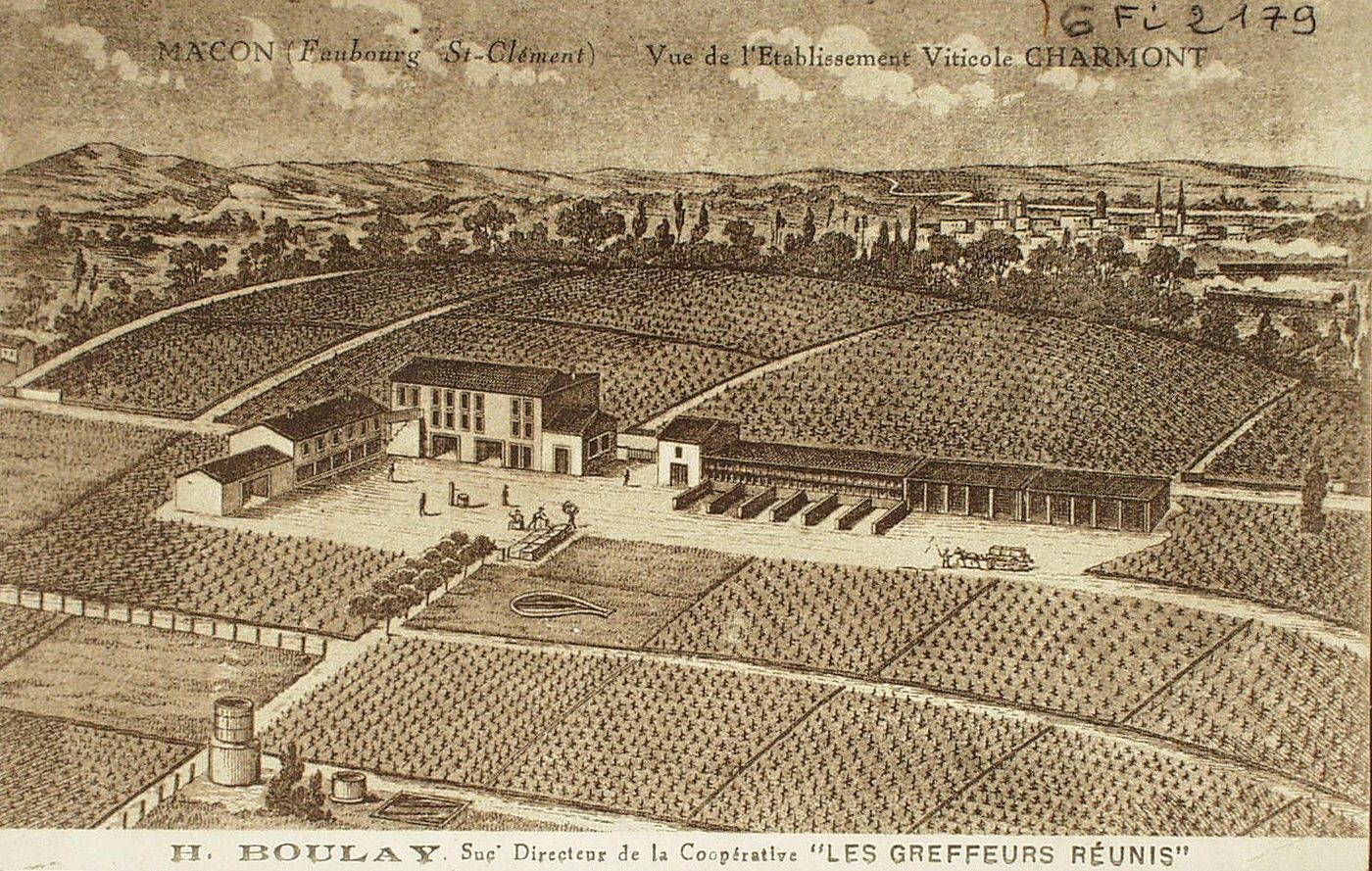 Mâcon (faubourg Saint-Clément). Vue de l'établissement viticole Charmont. Henry Boulay, successeur, directeur de la coopérative "les greffeurs réunis".