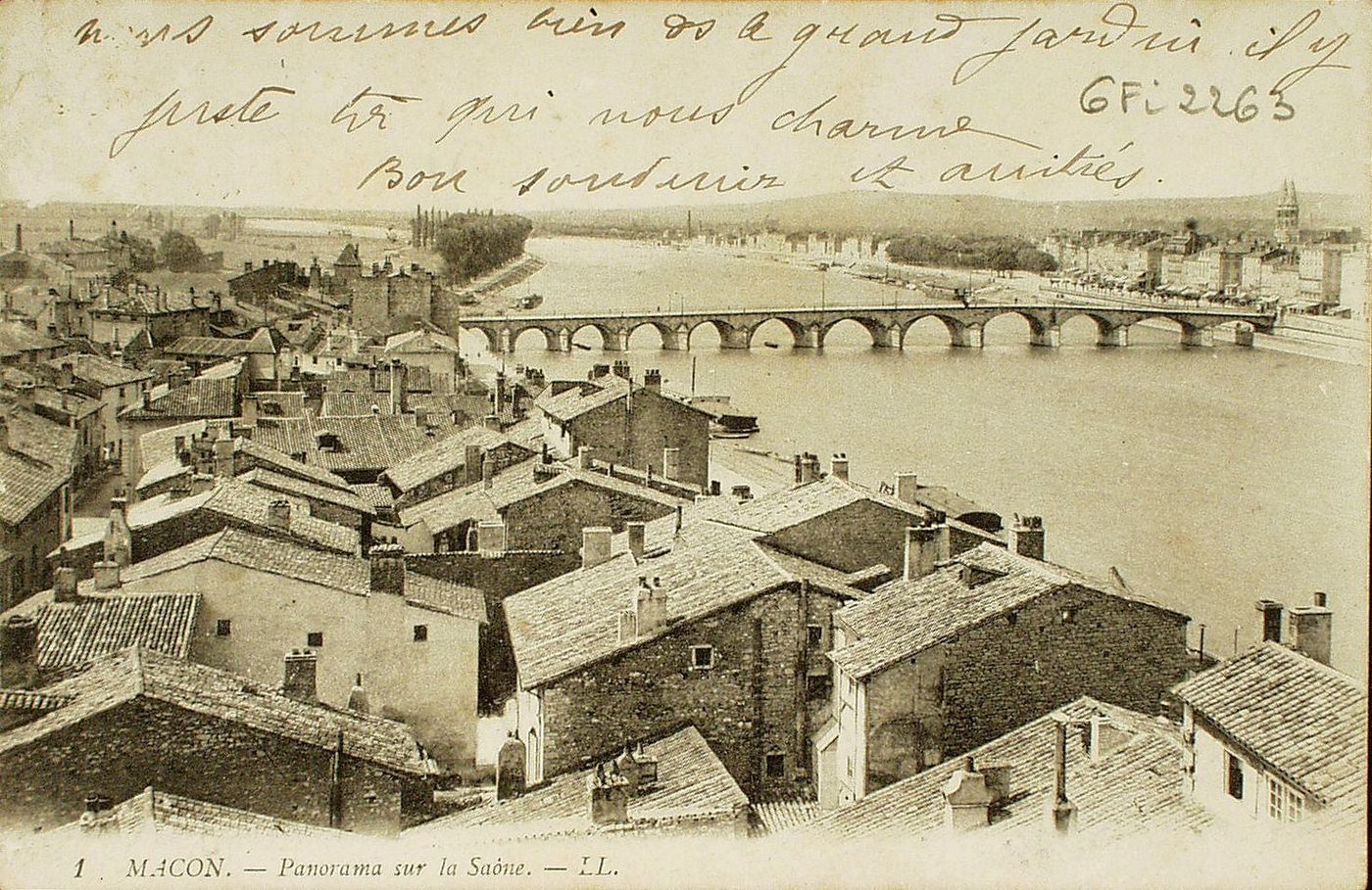 Mâcon. Panorama sur la Saône.