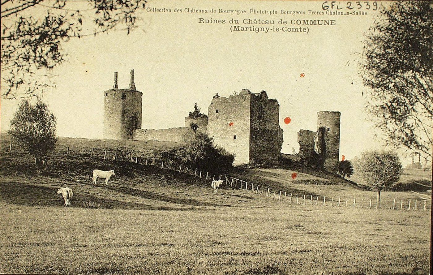 Ruines du château de Commune (Martigny-le-Comte).