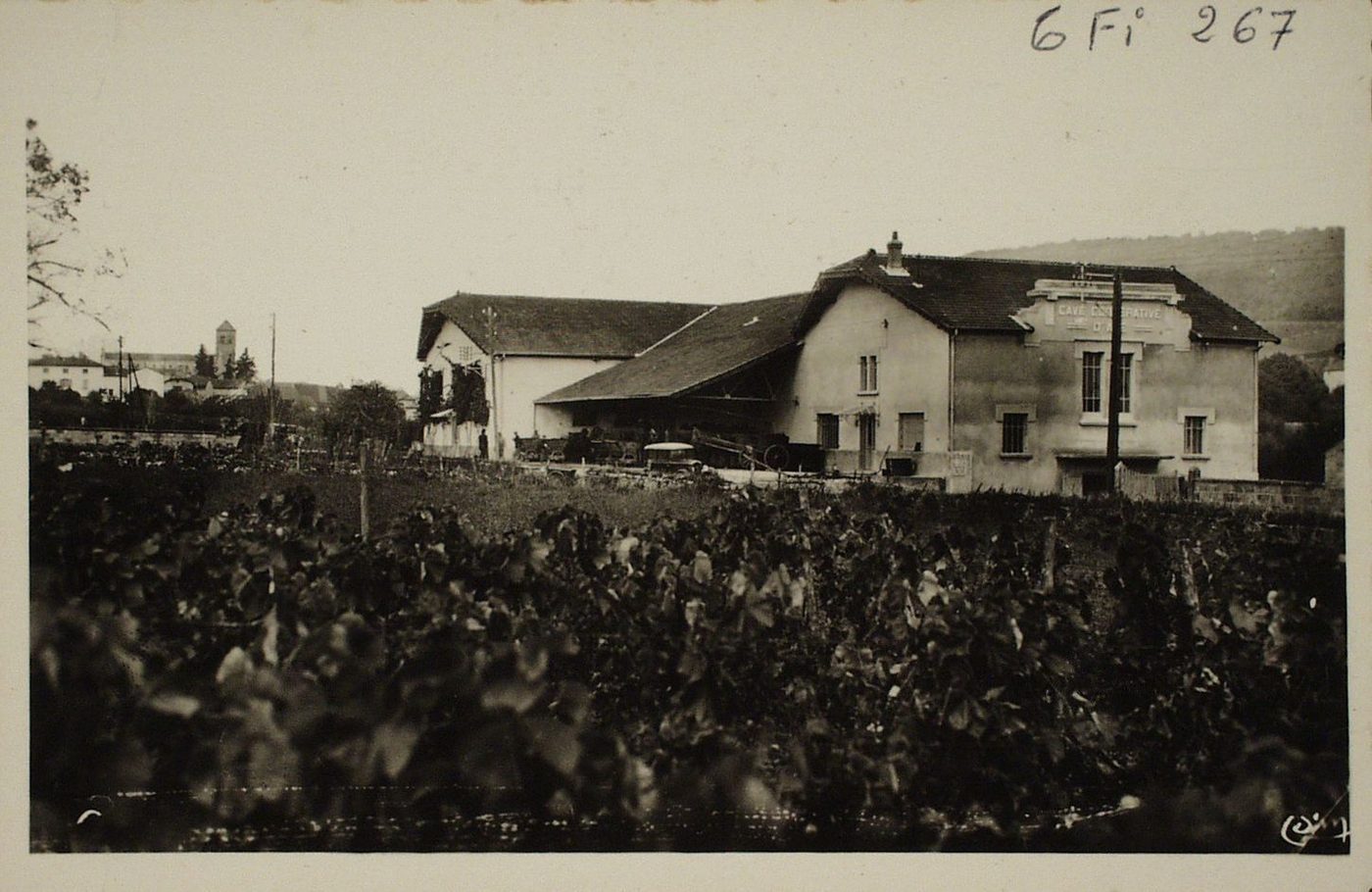 Cave coopérative d'Azé.