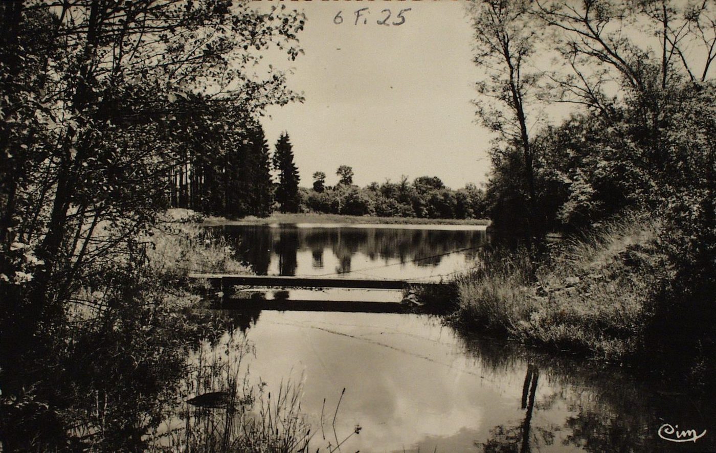 Antully. Etang du Martinet.