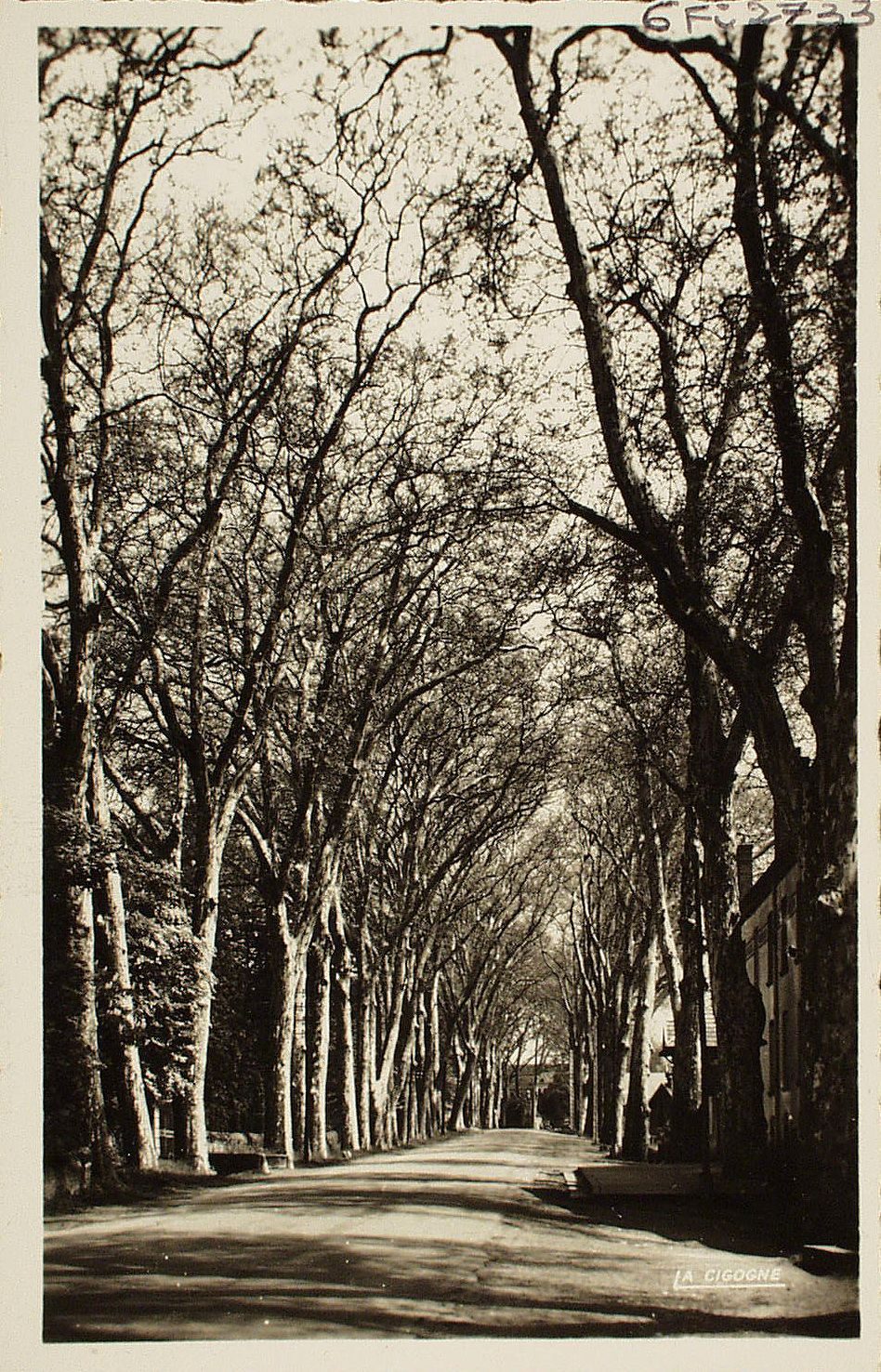Paray-le-Monial. Avenue de Charolles.