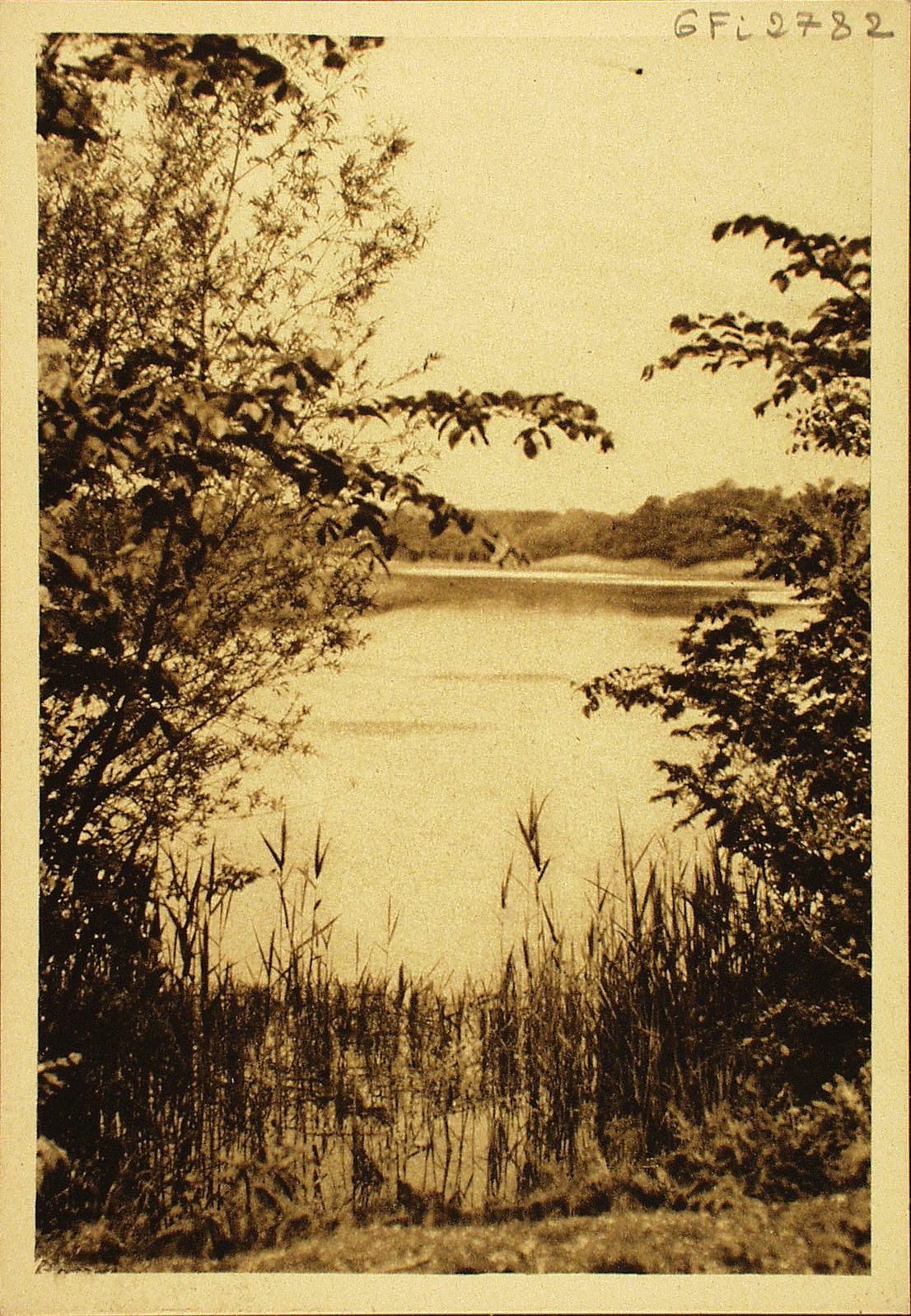 Pierre. L'étang du Brély. La Bresse est pleine de coins charmants pleins de poésie. A 5 km de Pierre, entre Terrans et Charette, dort au bord de la route un joli étang pour la joie des yeux et le bonheur des oiseaux d'eau.