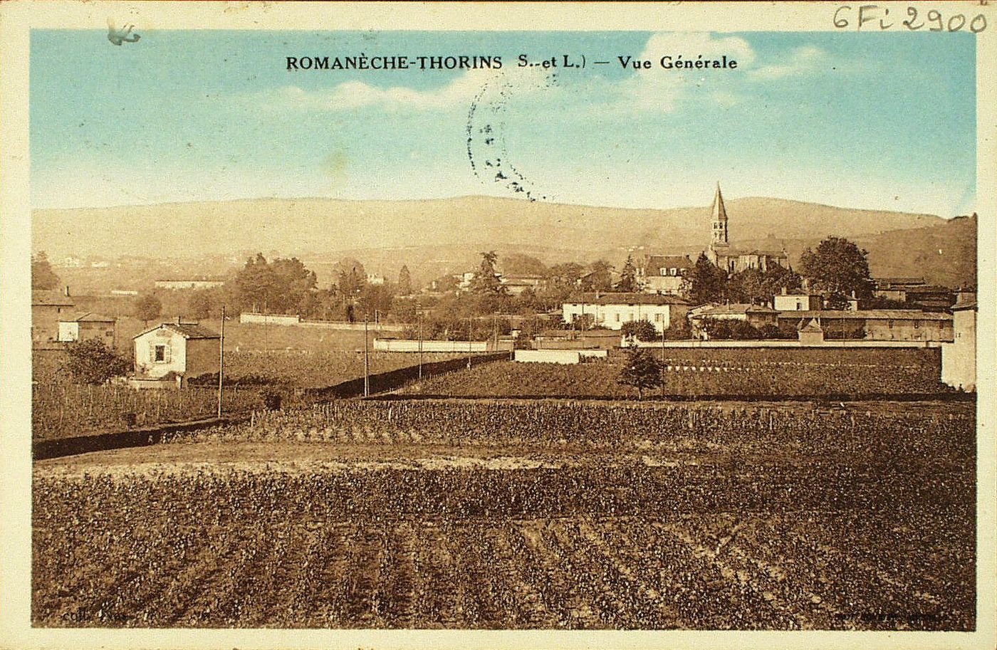 Romanèche-Thorins. Vue générale.