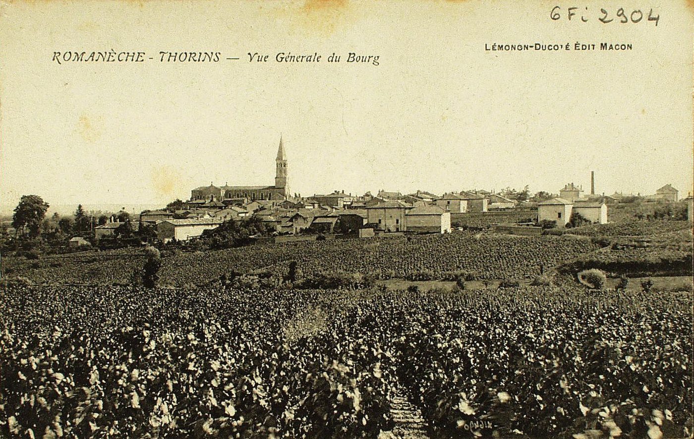 Romanèche-Thorins. Vue générale du bourg.