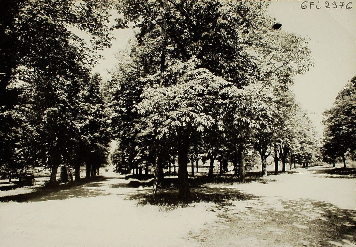 Saillenard. La promenade des marronniers.