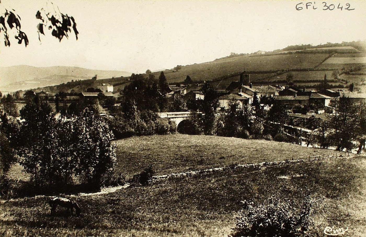 Sainte-Cécile-la-Valouze. Vue générale. Pâturages renommés.