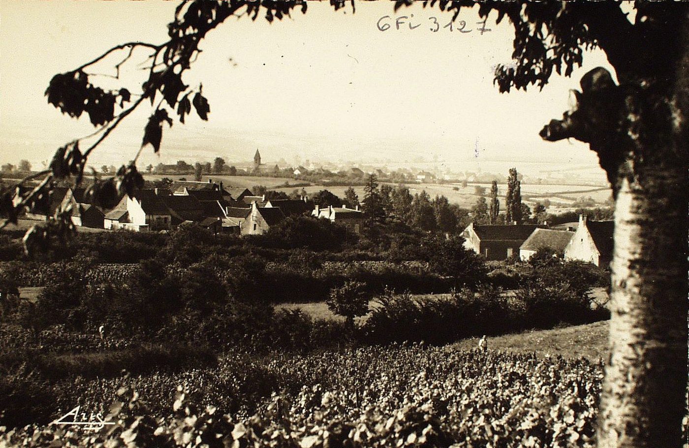 Saint-Jean-de-Trézy. Vue générale et hameau de Precelles.