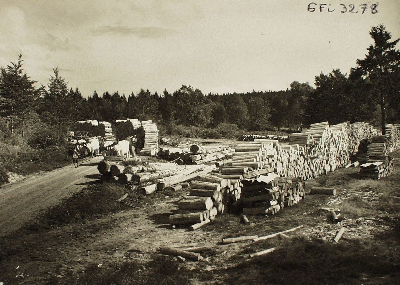 Le Morvan. Saint-Prix. Bois à papier.