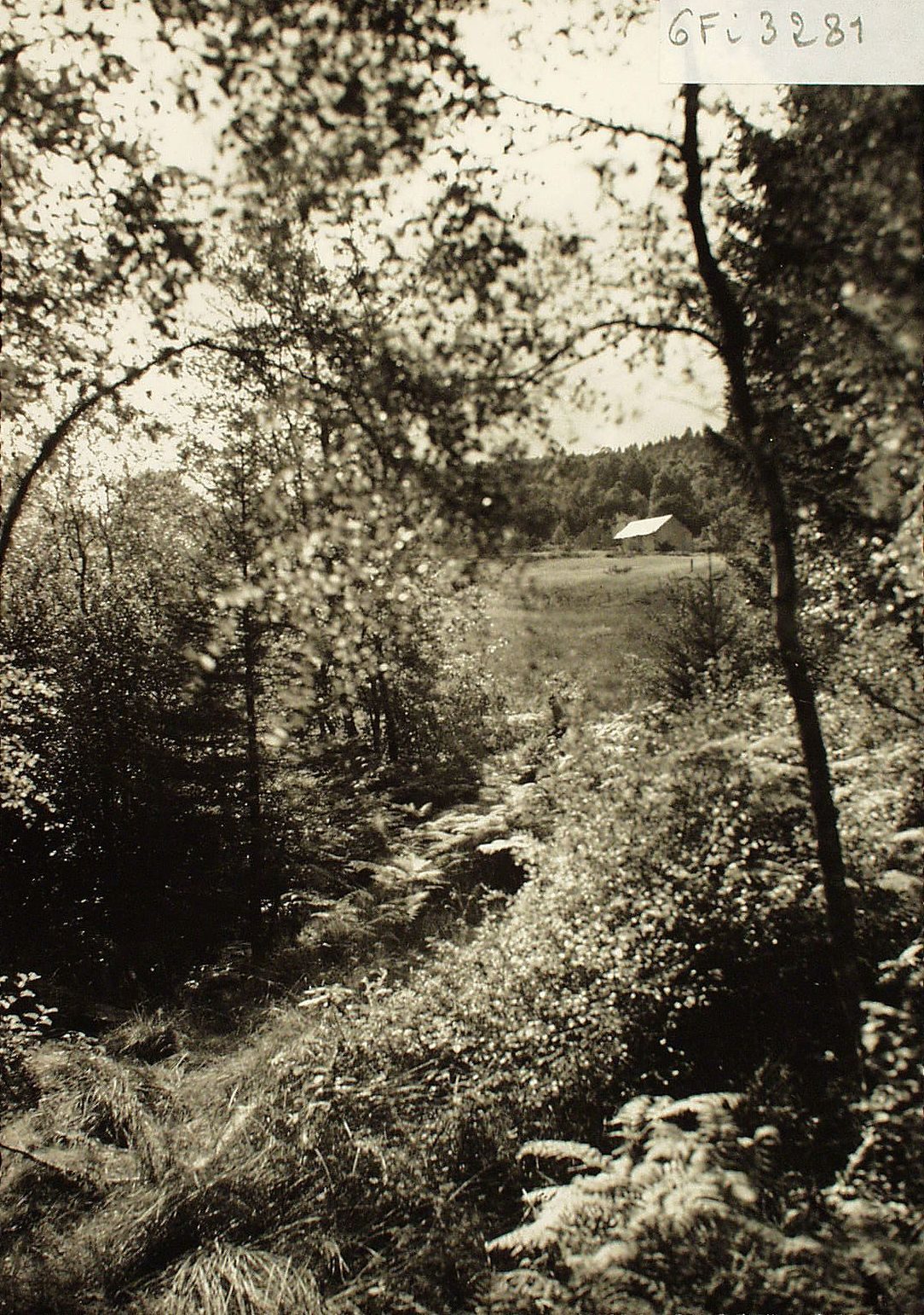 Le Morvan. Saint-Prix. La Goulette.