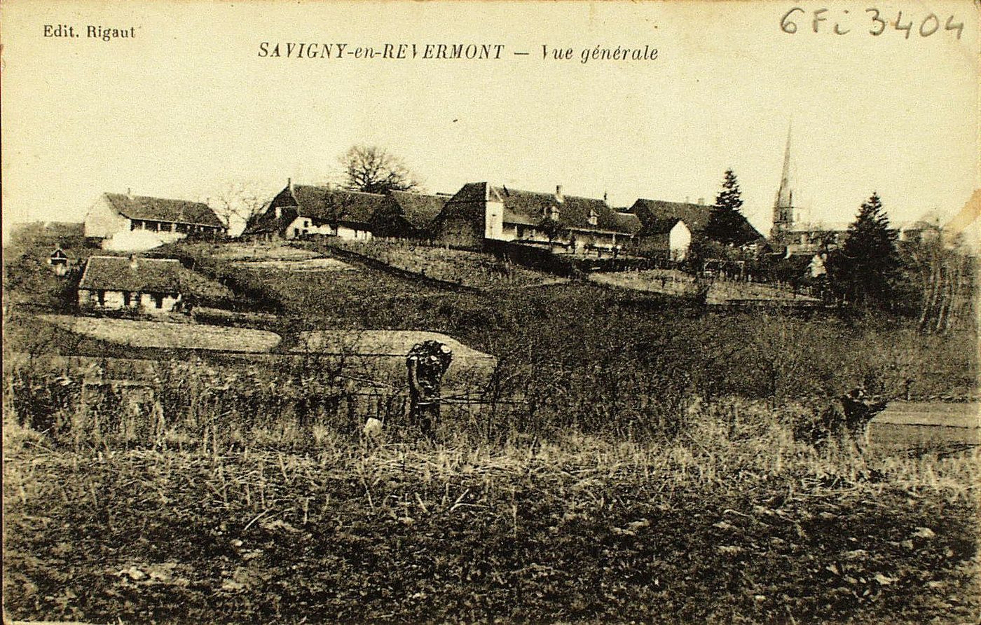 Savigny-en-Revermont. Vue générale.