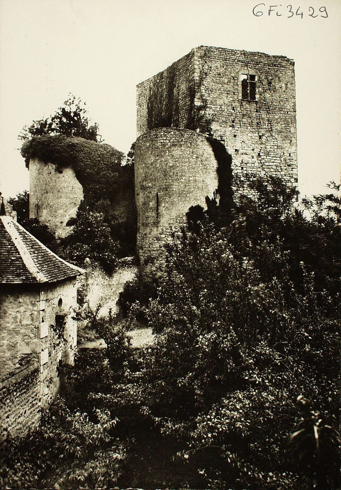 Semur-en-Brionnais. Vestiges du château fort.
