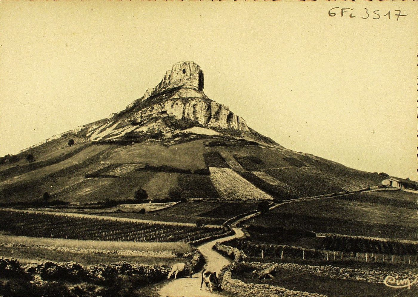 Le Mâconnais Illustré. La Roche de Solutré. Cette roche vue des hauteurs granitiques de l'ouest ressemble à une tour ou mieux à une proue de navire. Son altitude est de 495 mètres et de 50 mètres à pic surplombant les vignes. Au sommet, grandiose vue panoramique sur les Alpes, le Jura et la Bresse.