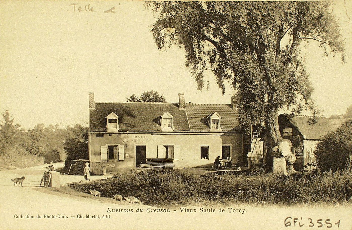Environs du Creusot. Vieux saule de Torcy.