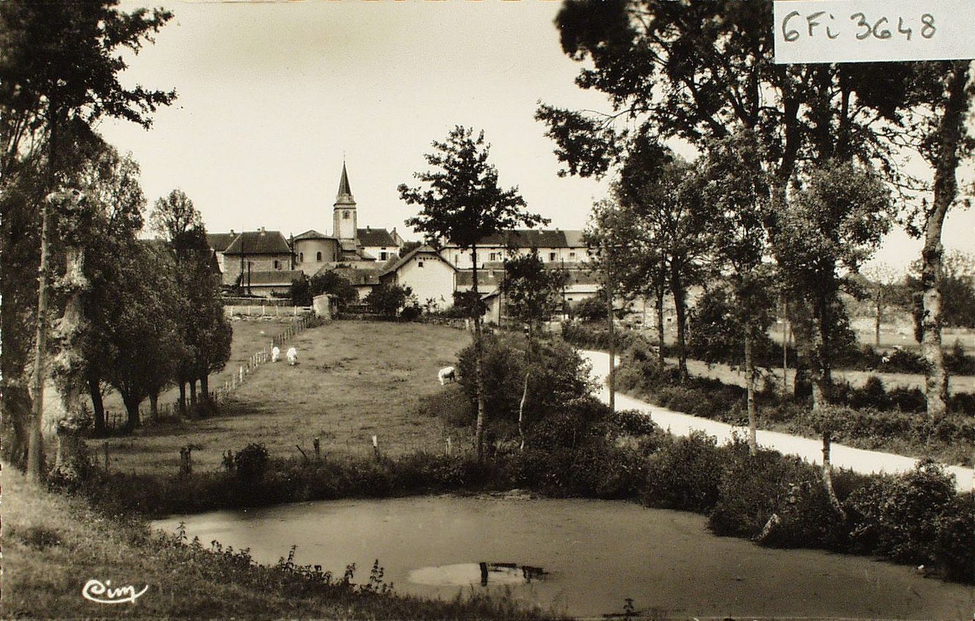 Trivy. Vue générale.