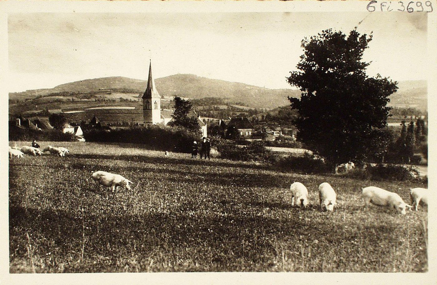 Varennes-sous-Dun. Vue panoramique sur Dun.