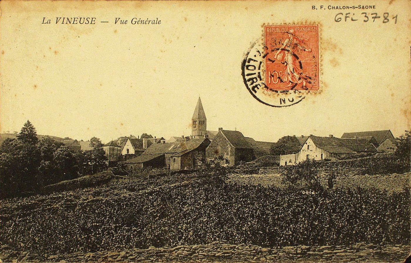 La Vineuse. Vue générale.