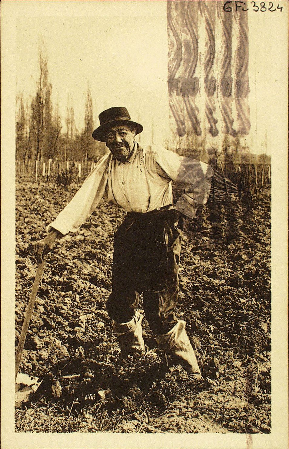 Vieux vigneron bourguignon.