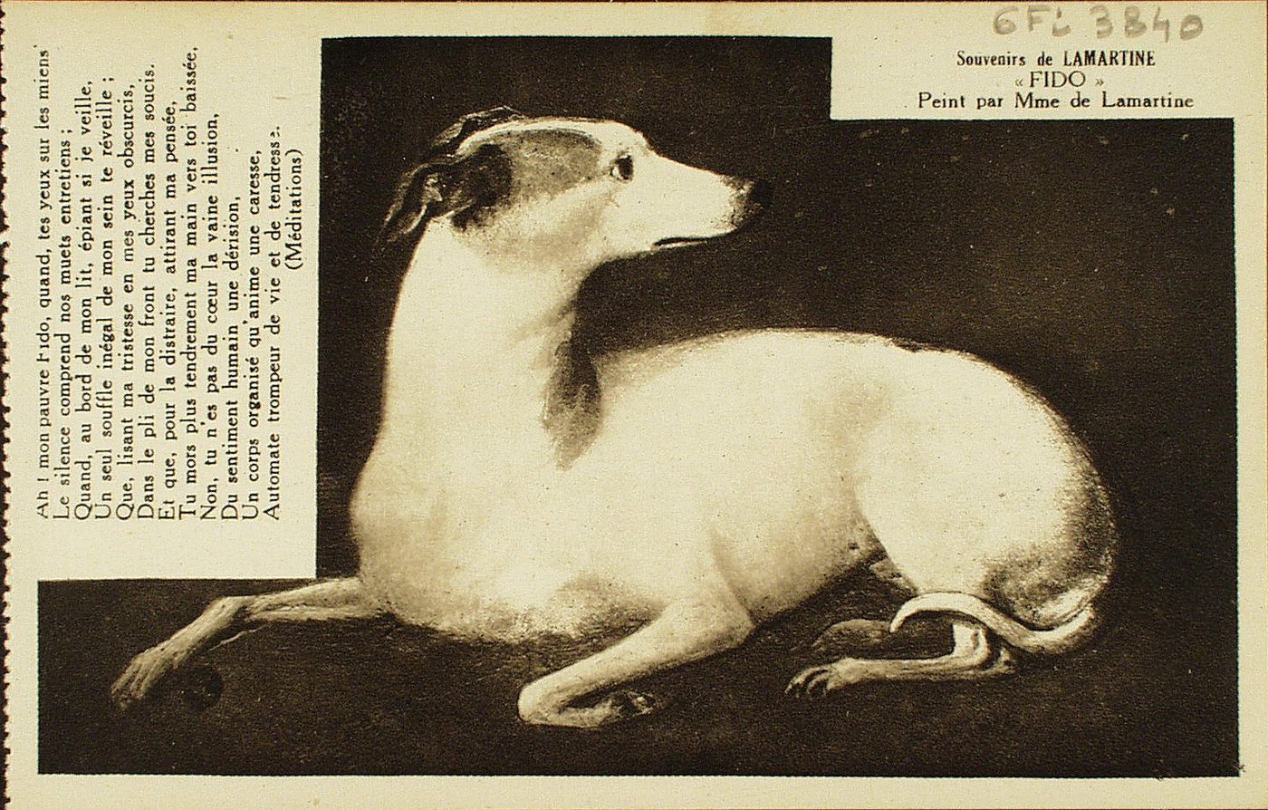 Souvenir de Lamartine. "Fido" peint par Mme de Lamartine.
