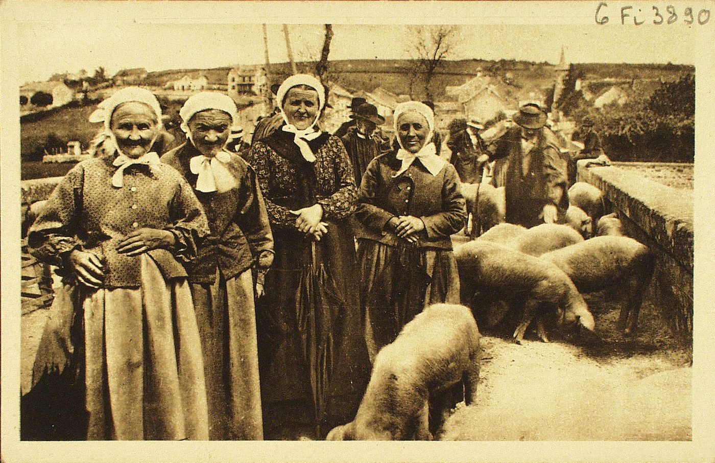 En Morvan. Nos braves morvandelles à la foire aux cochons.