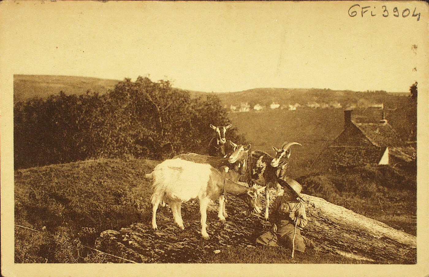Scènes champêtres. Petit chevrier sur la Chaume.