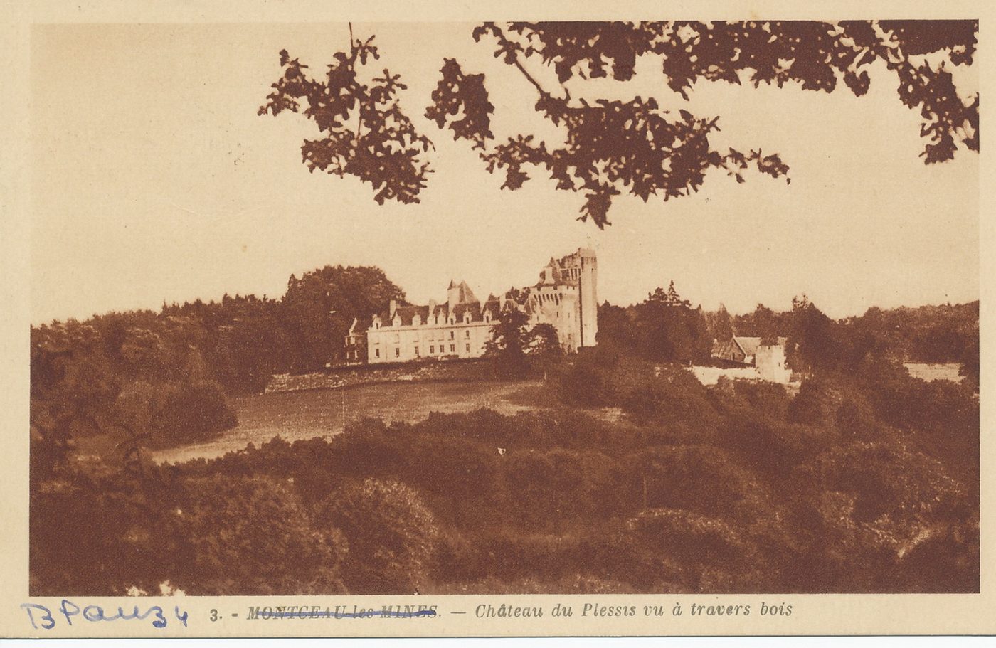 Blanzy. Château du Plessis vu à travers bois.