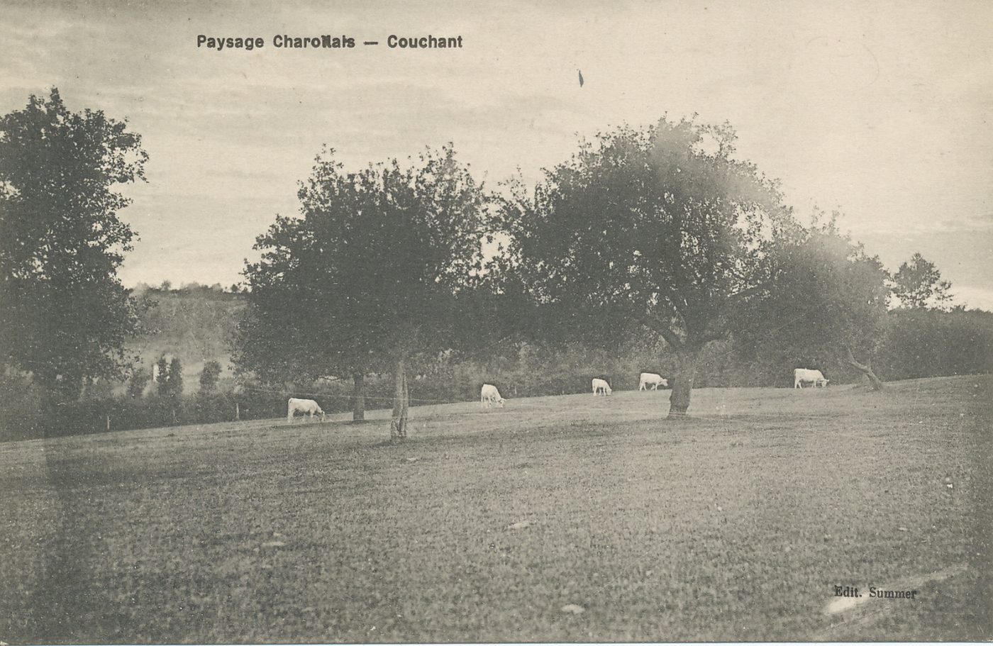 Paysage Charollais. Couchant.
