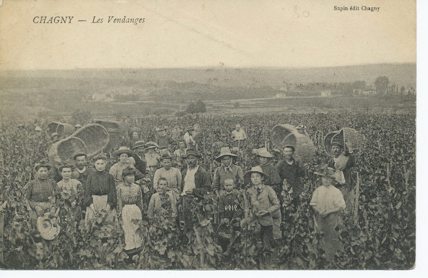 Chagny. Les vendanges.