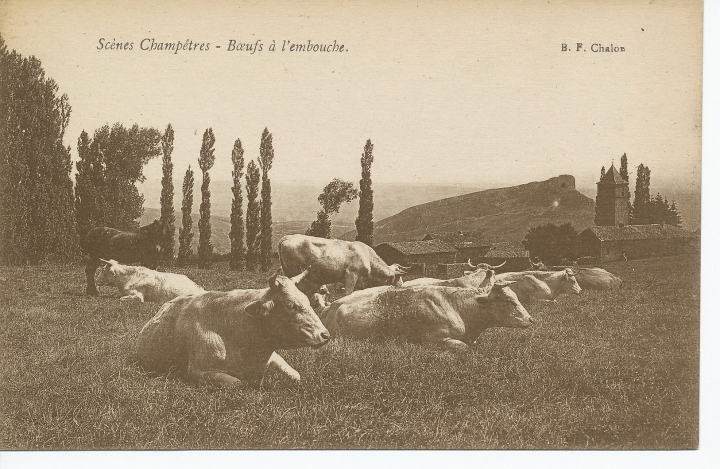 Scènes champêtres. Boeufs à l'embouche.