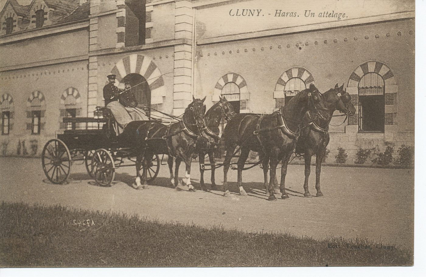 Cluny. Haras. Un attelage.