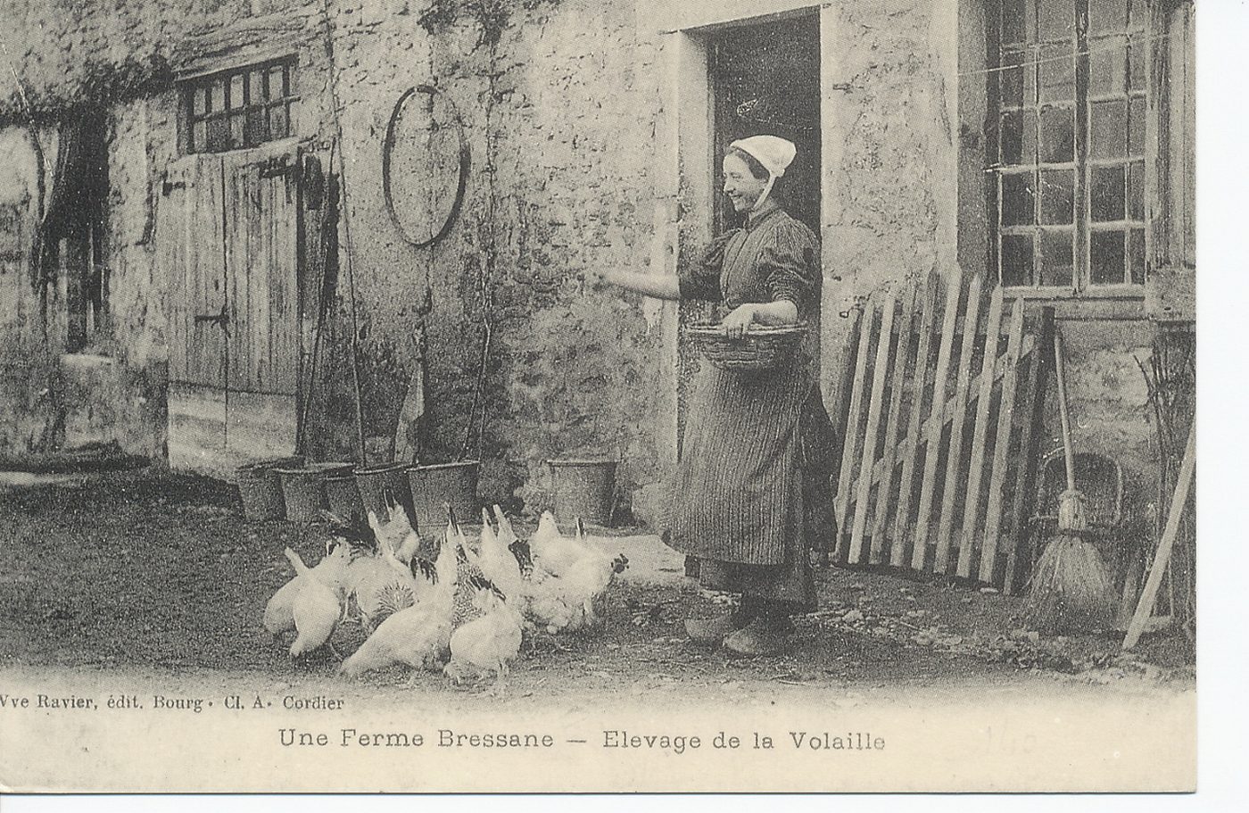 Une ferme bressane. Elevage de la volaille.
