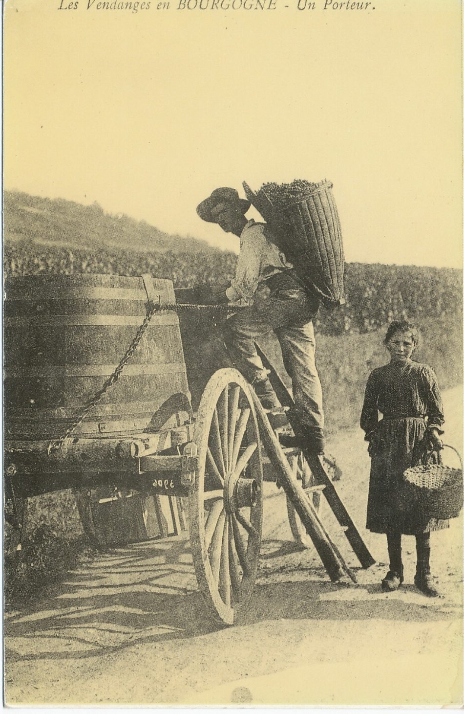 Les vendanges en Bourgogne. Un porteur.