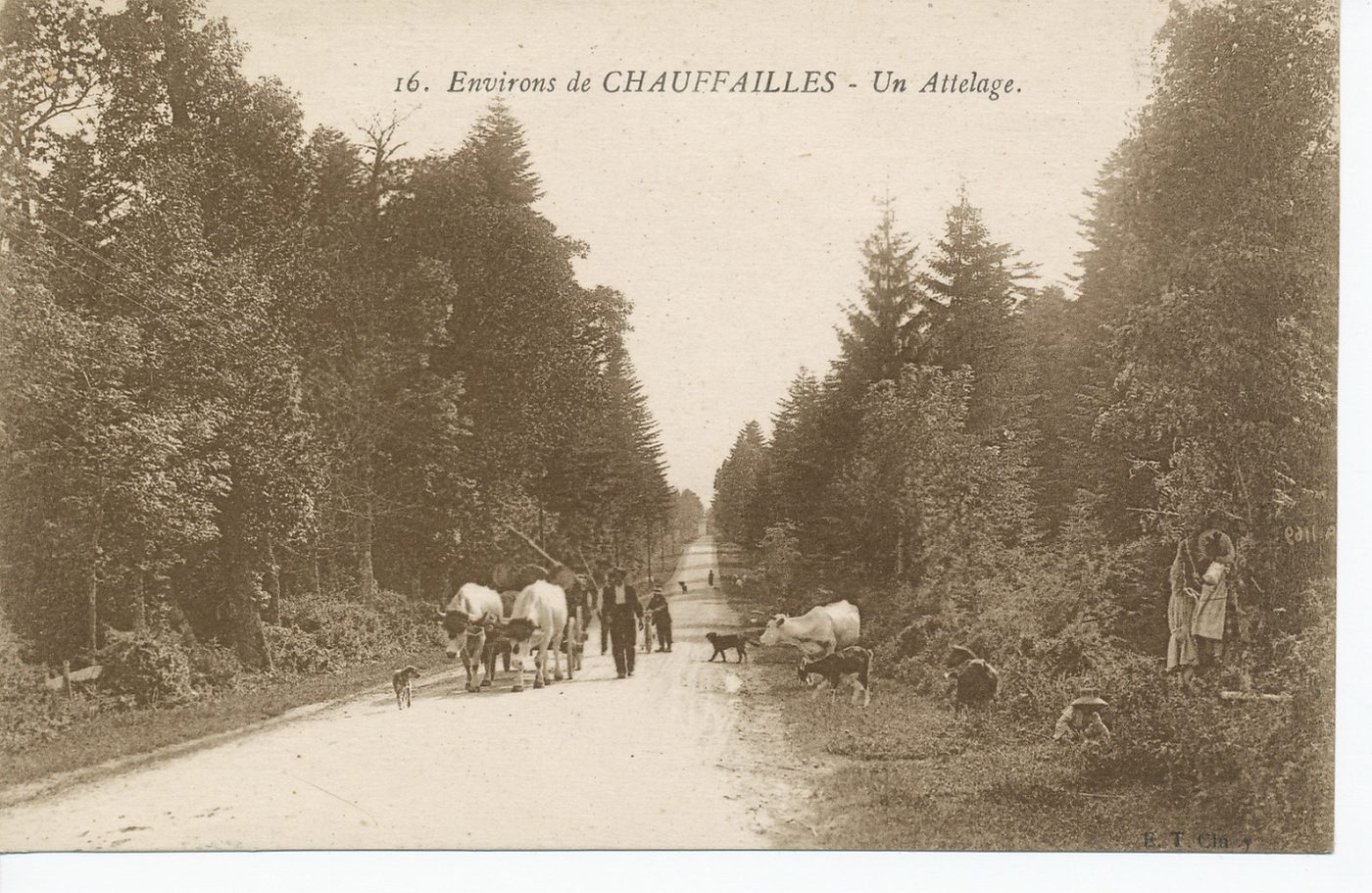 Environs de Chauffailles. Un attelage.
