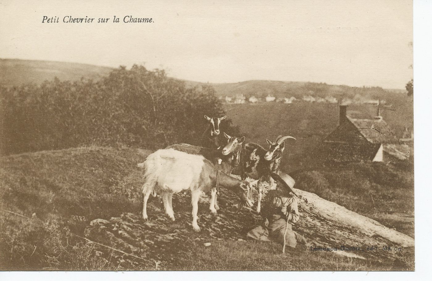 Petit chevrier sur la Chaume.